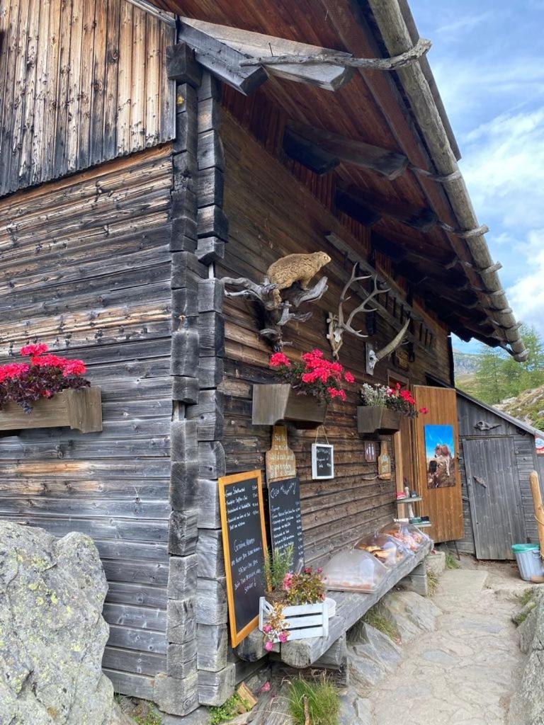 Nocky Mountains Lodge And Apartment Radenthein Εξωτερικό φωτογραφία