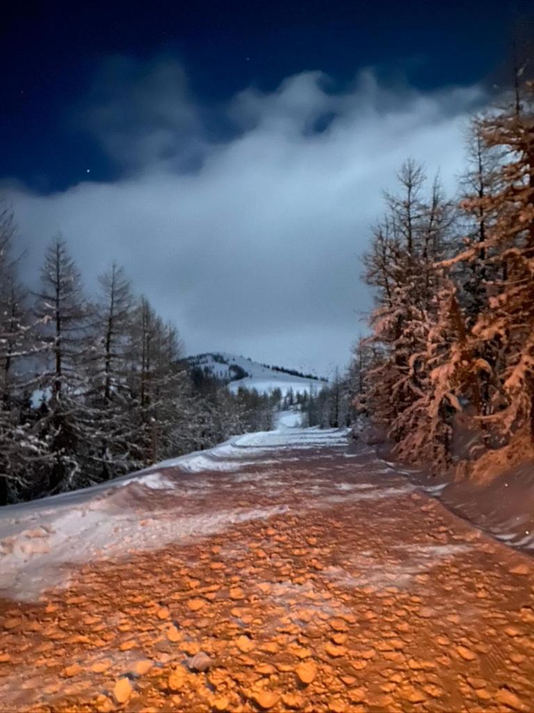 Nocky Mountains Lodge And Apartment Radenthein Εξωτερικό φωτογραφία