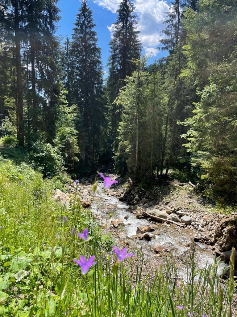Nocky Mountains Lodge And Apartment Radenthein Εξωτερικό φωτογραφία